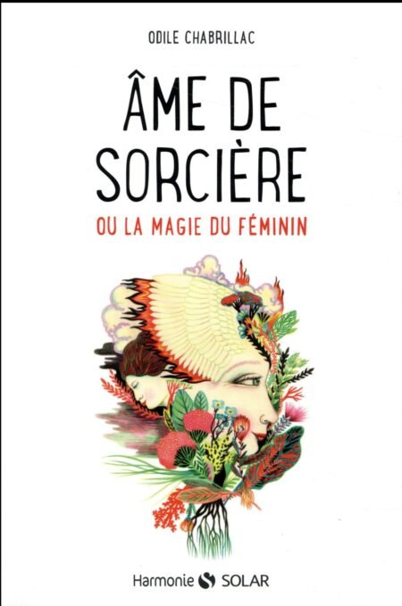 AME DE SORCIERE OU LA MAGIE DU FEMININ - Odile Chabrillac